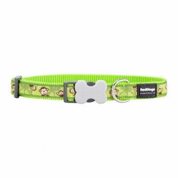 Suņa kaklasiksna Red Dingo STYLE MONKEY LIME GREEN 41-63 cm