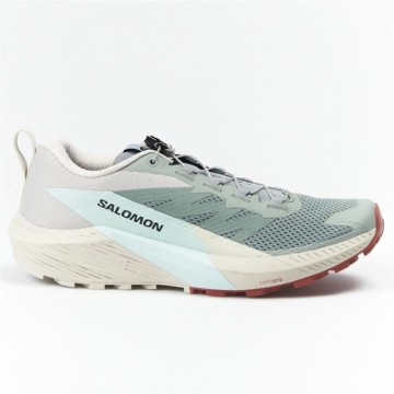 Мужские спортивные кроссовки Trail Salomon Sense Ride 5 Белый Разноцветный