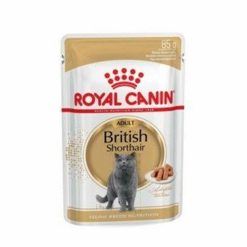 Корм для котов Royal Canin British Shorthair Adult
