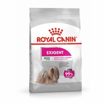 Lopbarība Royal Canin Mini Exigent 1kg Pieaugušais Dārzeņu 1 kg