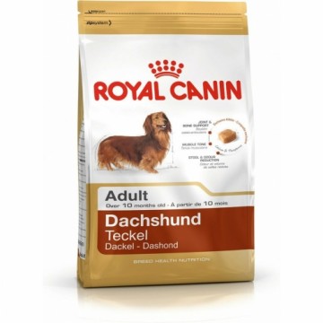Fodder Royal Canin Dachshund Adult Adult Rice Birds 1,5 Kg