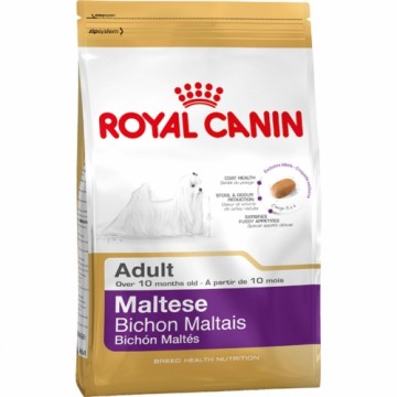 Lopbarība Royal Canin Maltese Adult Pieaugušais Kukurūza Putni 1,5 Kg