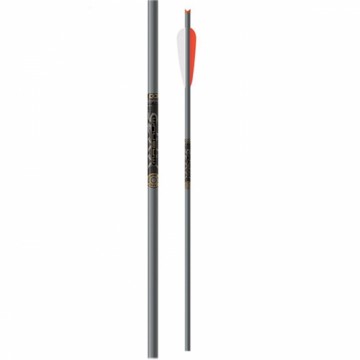 Easton ALUMINUM MAGNUM 20