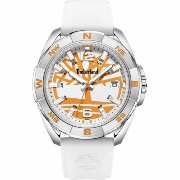 Men's Watch Timberland TDWGN2202105