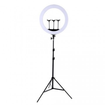 Extradigital LED Ring Lamp 45cm With Desktop Tripod Mount Up To 2.1m