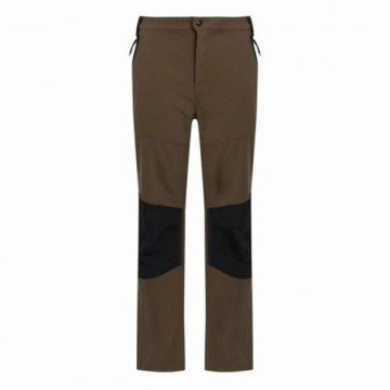 Long Sports Trousers Regatta Questra V Brown