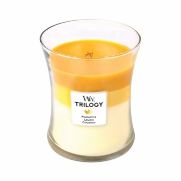 Ароматизированная свеча Woodwick Fruits of Summer 275 g