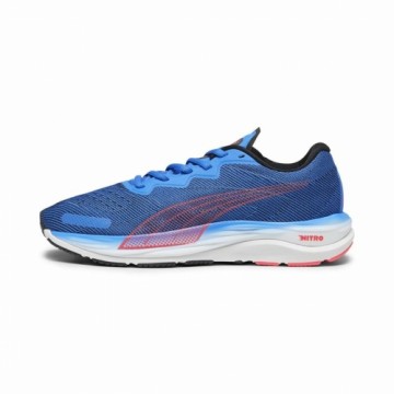 Беговые кроссовки для взрослых Puma Velocity Nitro 2 Синий Мужской