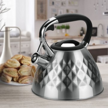 Non-electric kettle MAESTRO MR-1322