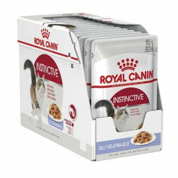 Royal Canin FHN Instinctive in jelly - wet food for adult cats - 12x85g