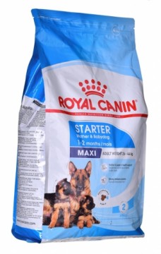 ROYAL CANIN SHN Maxi Starter Mother & Babydog - dry dog food - 4 kg