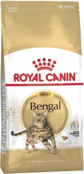 ROYAL CANIN FBN Bengal Adult - dry cat food - 10kg