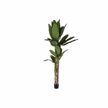 Decorative Plant Home ESPRIT Polyethylene Cement Banana plant 90 x 90 x 290 cm