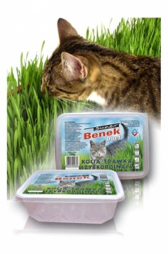 Certech 10319 pet grass seed Cat