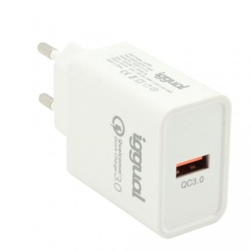 Wall Charger iggual IGG317174