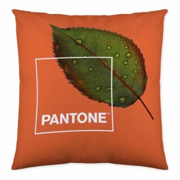 Чехол для подушки Nature Pantone Двухсторонний (50 x 50 cm)