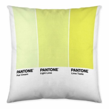 Spilvendrāna Ombre C Pantone Localization_B086JQZYZH Abpusējs (50 x 50 cm)