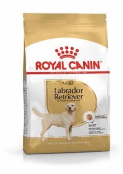 ROYAL CANIN Labrador Adult - dry dog food - 12 kg