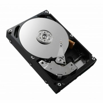 Cietais Disks Dell