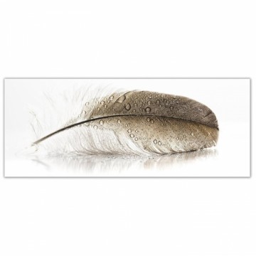 Foto glezna 50x125cm WING1