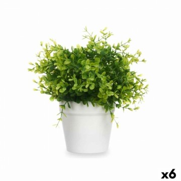 Ibergarden Декоративное растение Пластик Маленький (6 штук)