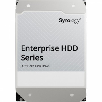 Synology HAT5310-18T, Festplatte