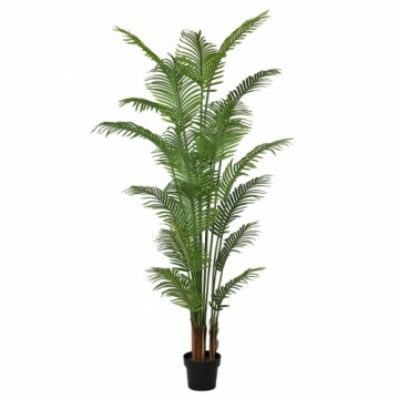 Bigbuy Home Декоративное растение Полиуретан Цемент Areca 210 cm