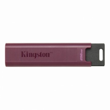 USВ-флешь память   Kingston Max         Красный 256 GB