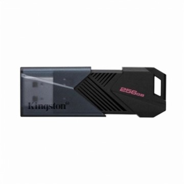 USB Zibatmiņa Kingston DTXON/256GB Melns 256 GB