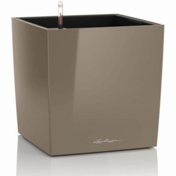 Self-watering flowerpot Lechuza Brown 50 x 50 cm polypropylene Plastic