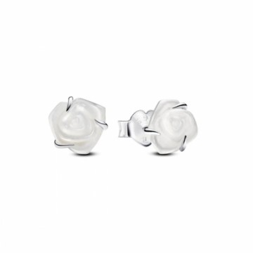 Ladies' Earrings Pandora 293209C01