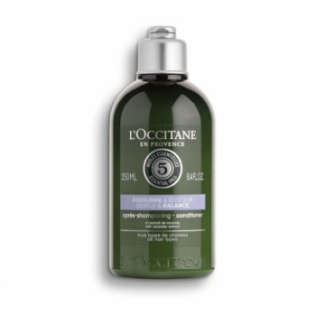 Увлажняющий кондиционер L'occitane Aromachologie 250 ml Сбалансированный