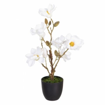 Bigbuy Home Декоративное растение полиэстер полиэтилен Железо 25 x 25 x 49 cm Magnolia