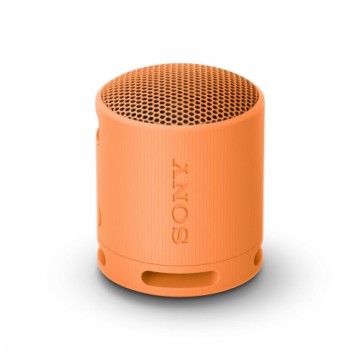 Портативный Bluetooth-динамик Sony SRSXB100D Оранжевый