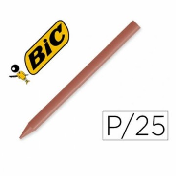 Цветные полужирные карандаши Plastidecor 8169691 Коричневый Пластик (25 штук)