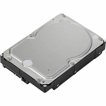 Cietais Disks Lenovo 4XB0X87802 3,5" 6 TB