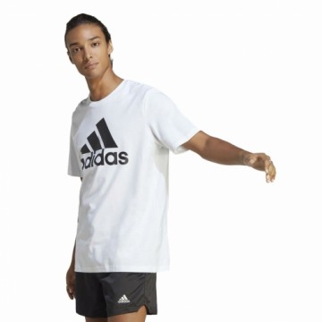 Vīriešu Krekls ar Īsām Piedurknēm Adidas XL