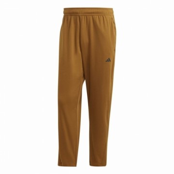 Long Sports Trousers Adidas Base Training Golden