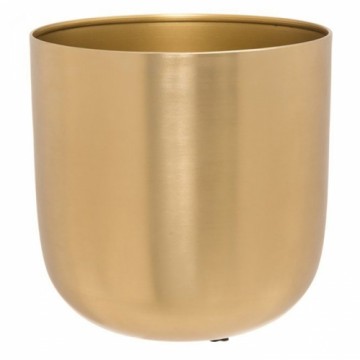 Puķu pods 4Living Goldie 18cm