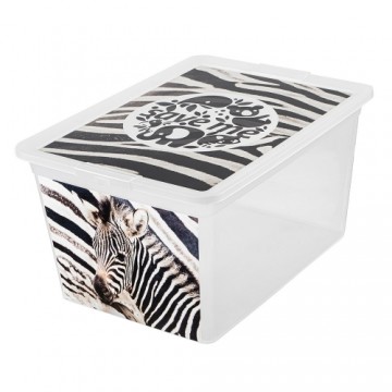 Branq Uzglabāšanas kaste 30L X box deco zebra