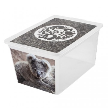 Uzglabāšanas kaste 30L X box deco koala