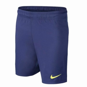 Men's Sports Shorts Nike FC. Barcelona Blue
