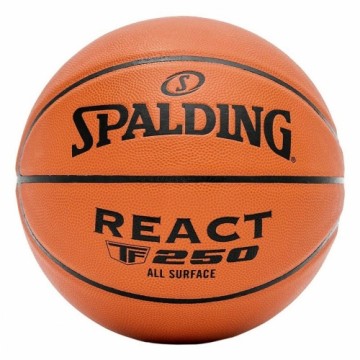 Освежитель воздуха для обуви Spalding P8637 Разноцветный