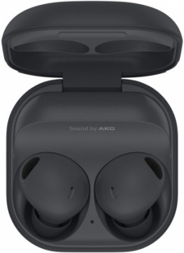 Samsung Galaxy Buds 2 Pro R510 Grey