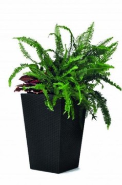 Keter Puķu pods Rattan Planter S 23,6L pelēks