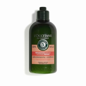 Restorative Shampoo L'occitane Aromachologie 250 ml