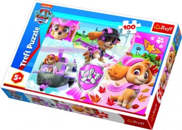 TREFL PAW PATROL Puzle Paw Patrol, 100 gab.