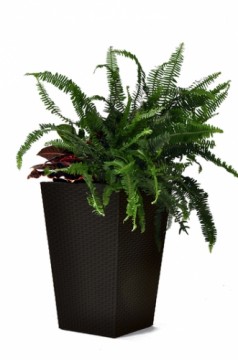 Keter Горшок для цветов Rattan Planter M 55,4L коричневый