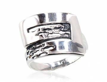 Серебряное кольцо #2100672(POx-Bk), Серебро 925°, оксид (покрытие), Размер: 17, 3.3 гр.