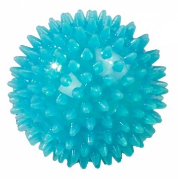 Massage ball SVELTUS 0453 9cm Blue